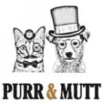 store-logo